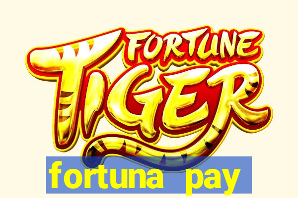 fortuna pay consultoria financeira ltda